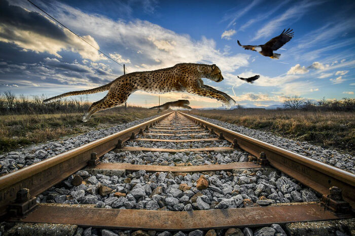 I Just Noticed That They Don't Have Shadows, And I Created It Three Years Ago