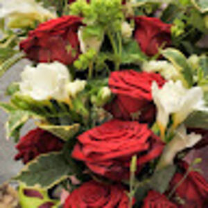 marionbanks-wilkinson avatar