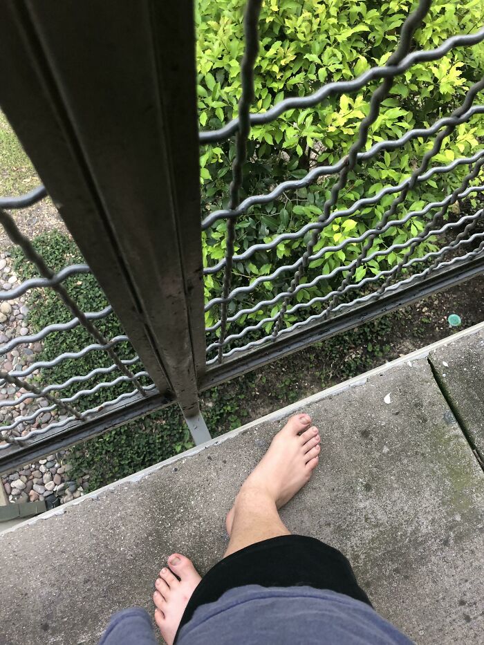 God Forbid You Have A Baby Or A Little Dog