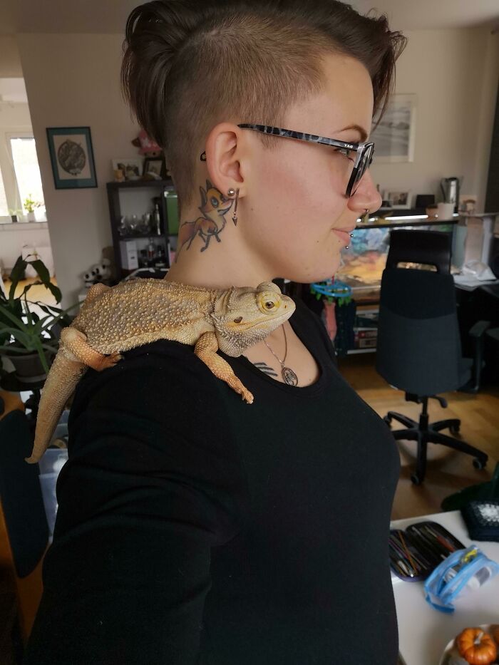 Does Shoulder Lizard Belong Here As Well