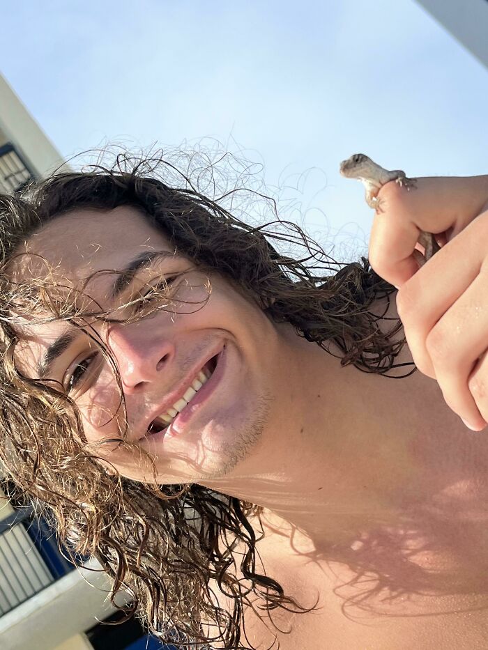 I Caught An Anole Today In Florida