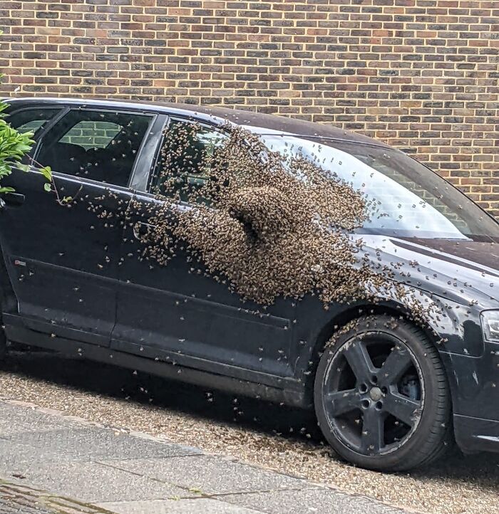 I Guess They Won't Be Driving Anywhere Anytime Soon, Seen Outside My Son's Flat