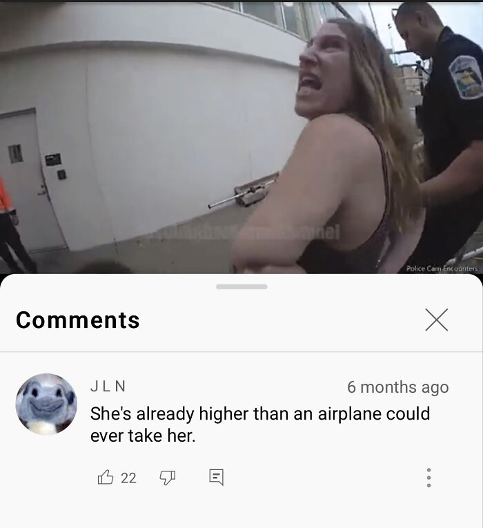 Karen Gets In An Airplane - Justanotherkarenchannel