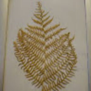 fougeremagique avatar