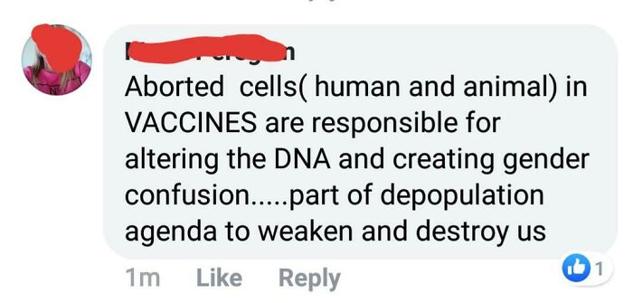 Vaccines Make You Gay