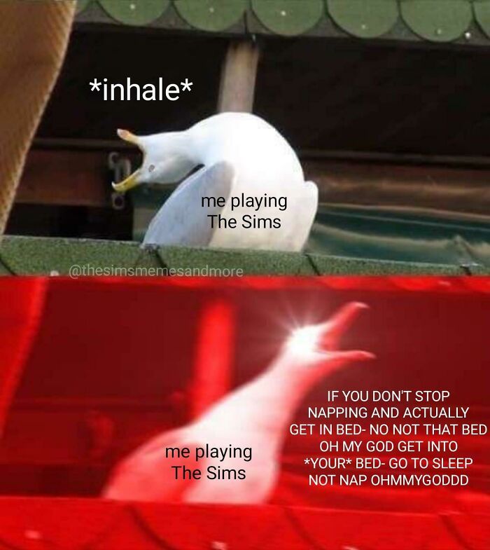 Sims, A Nice Pass The Time, Relaxing Game