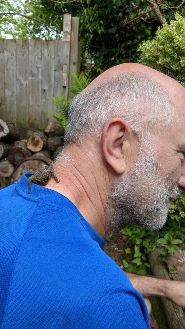 Dad Found A Bat On Ground, Cleaned Him Up And Fed Him. Made Him A Bat Area Near Our Cabin To Rest, Can Fly Away Normally But Always Returns Back