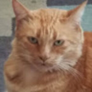 Tired_antisocial_mom