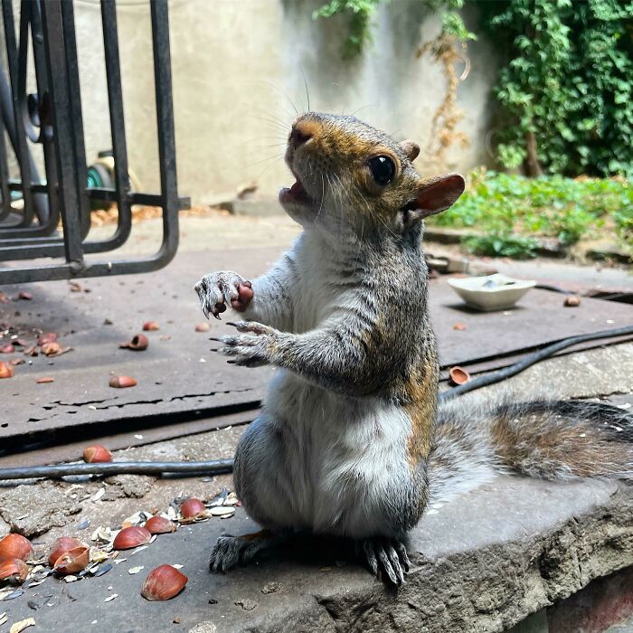 Every Day She Surprises And Delights Me