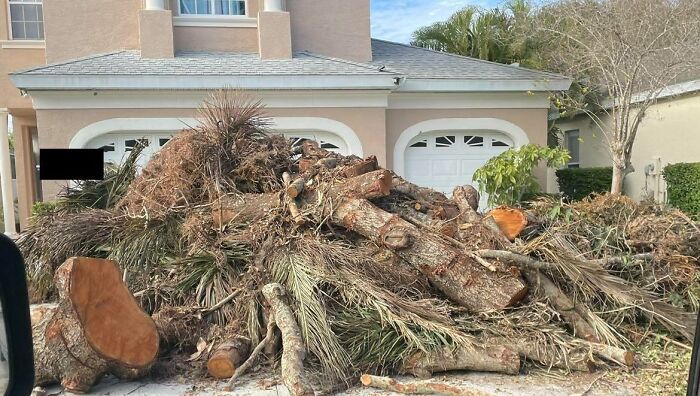 My Neighbor “Allegedly” Refused To Pay The Guy Who Cleared His Back Yard. He’ll Be Coming Home To This Gift Left In His Driveway