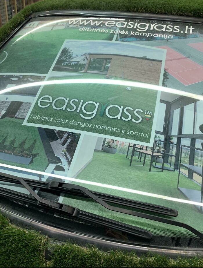 Green On Green, Why Not