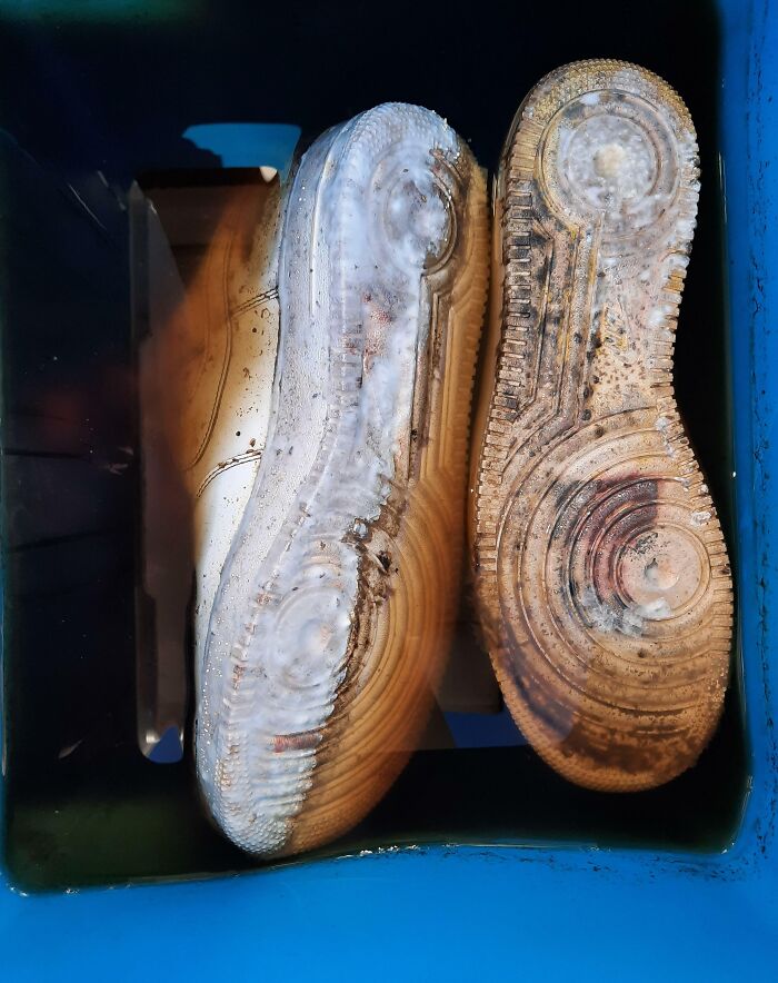 My Brother Tried To Dye His Brand New Nikes In Coffee And Forgot About Them For A Month