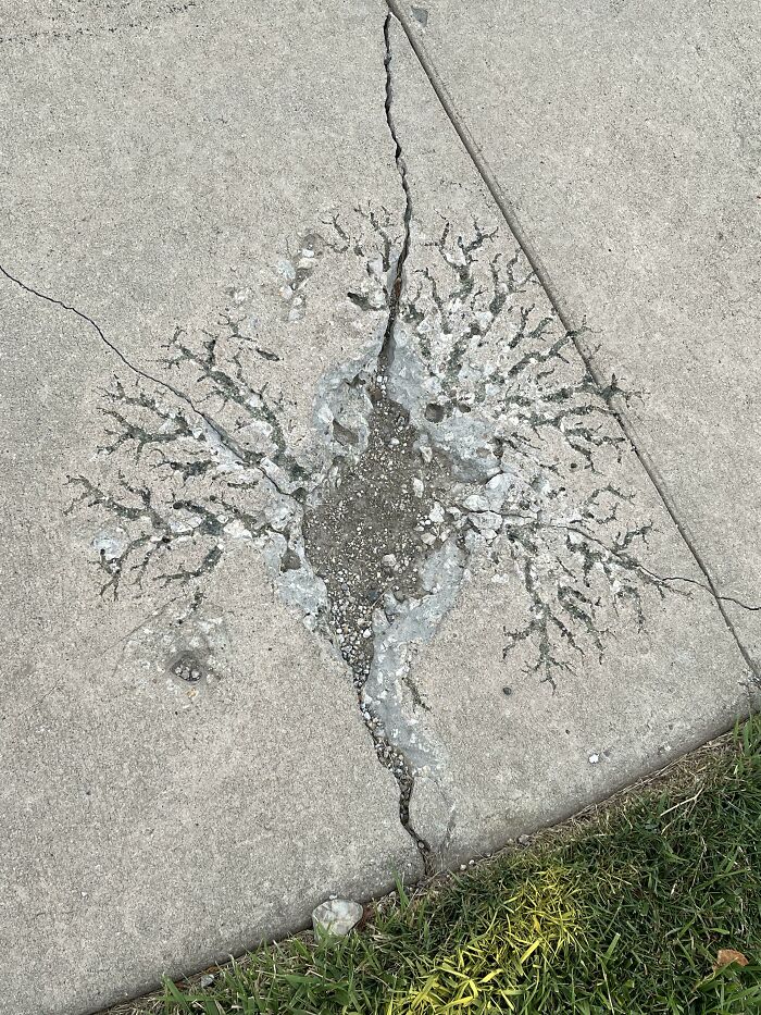 Lightning Hit Sidewalk