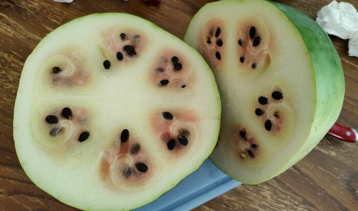 Waited All Summer To Cut Open This Watermelon I Grew In My Yard