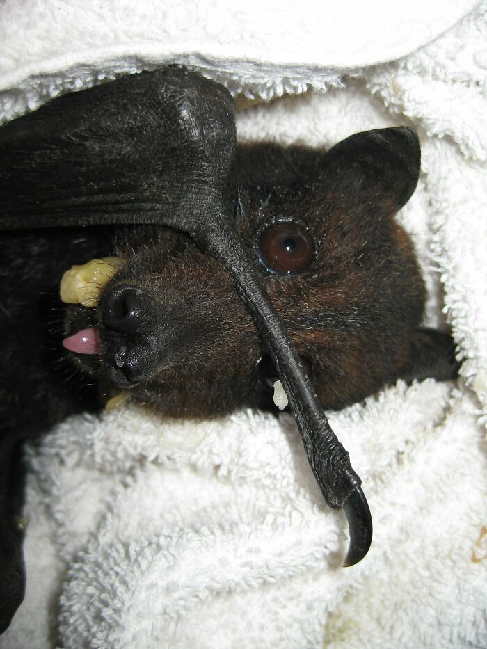 Don't Look At Me While I'm Eating