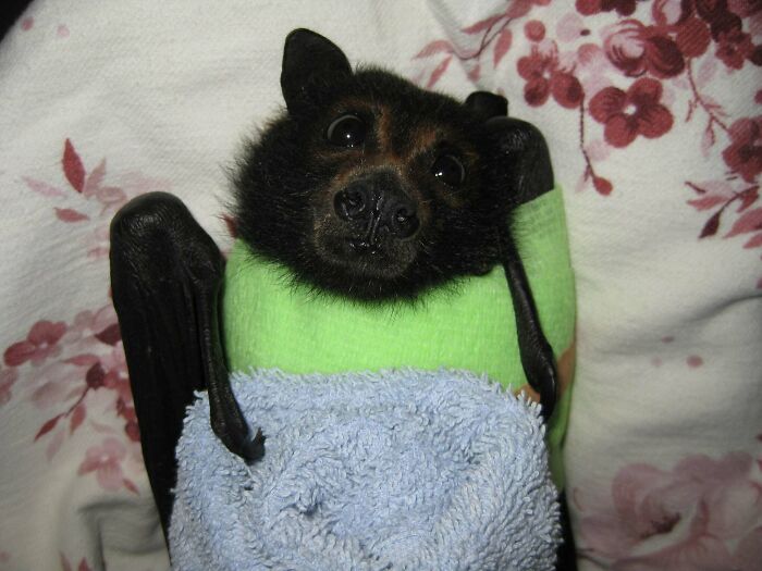 Does This Sweater Suit Me?