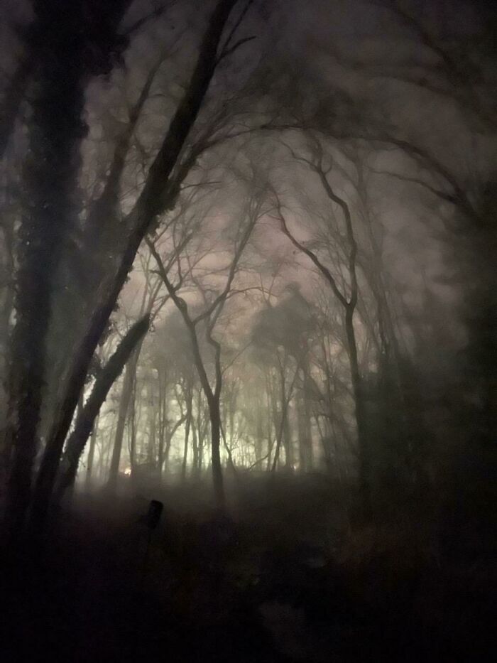 Mi patio trasero durante la niebla