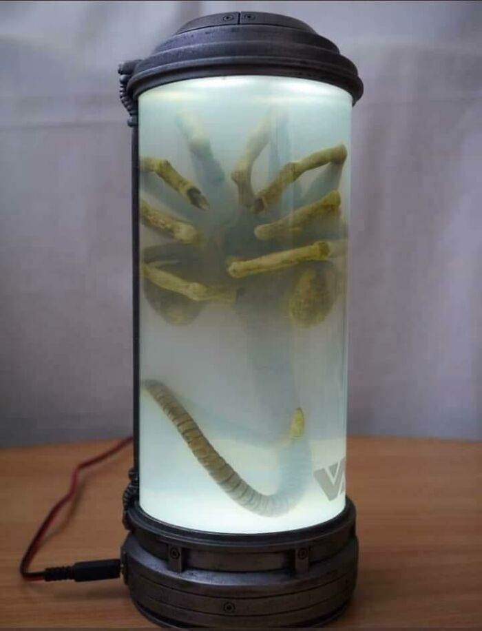 Lámpara de cabecera de Alien