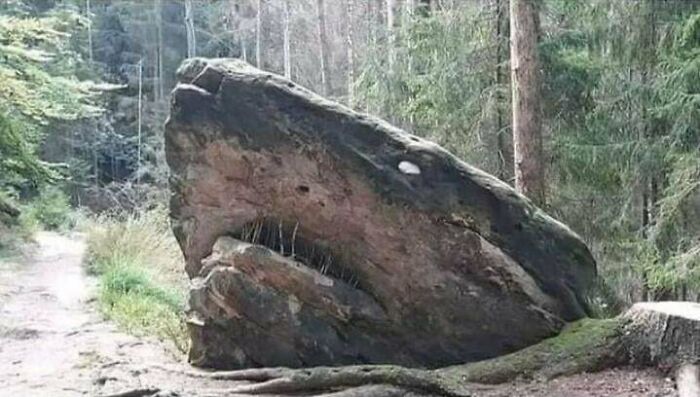 Esta roca se parece un poco al Megalodón