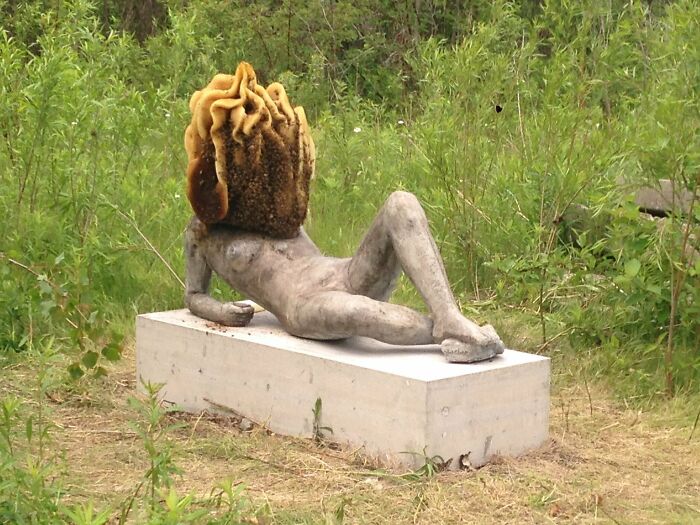 La estatua fue invadida por abejas y esto sucedió