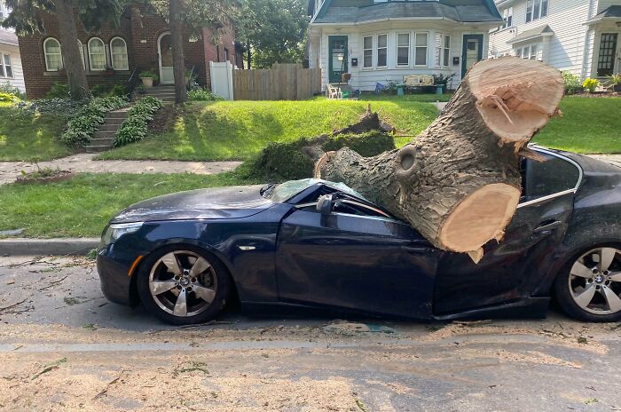 Mother Nature Decided That This BMW Should Be A Convertible