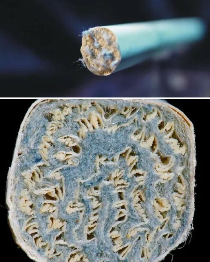 Cross Section Of An Asbestos Laden Cigarette Filter. Kent's Micronite Filter Cigarettes Were Marketed As "Good For The Lungs"