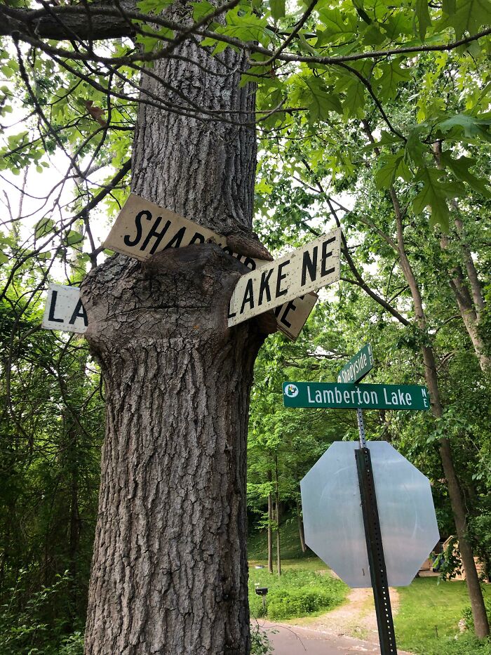 I Don’t Know Why They Had To Replace A Perfectly Good Sign