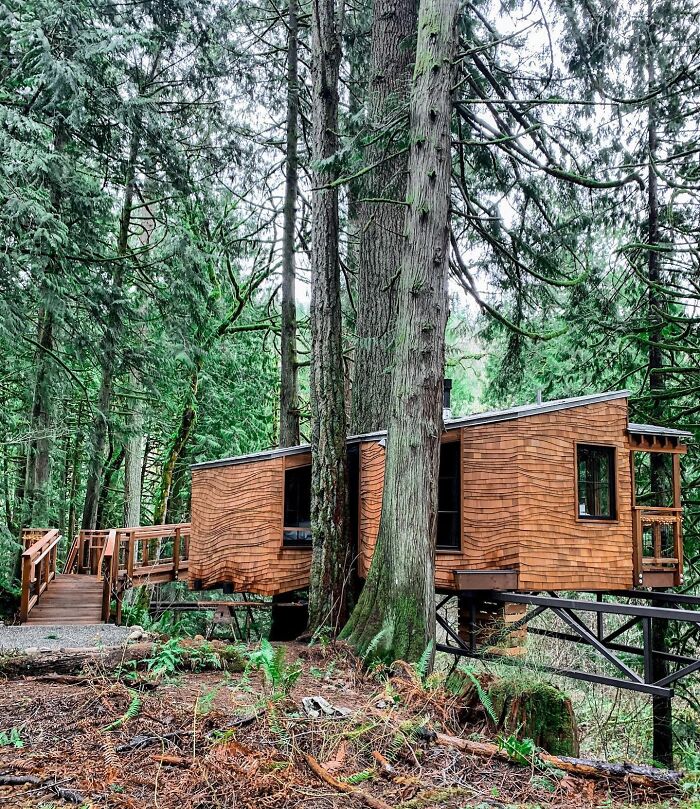Treehouse Point, Washington, United States