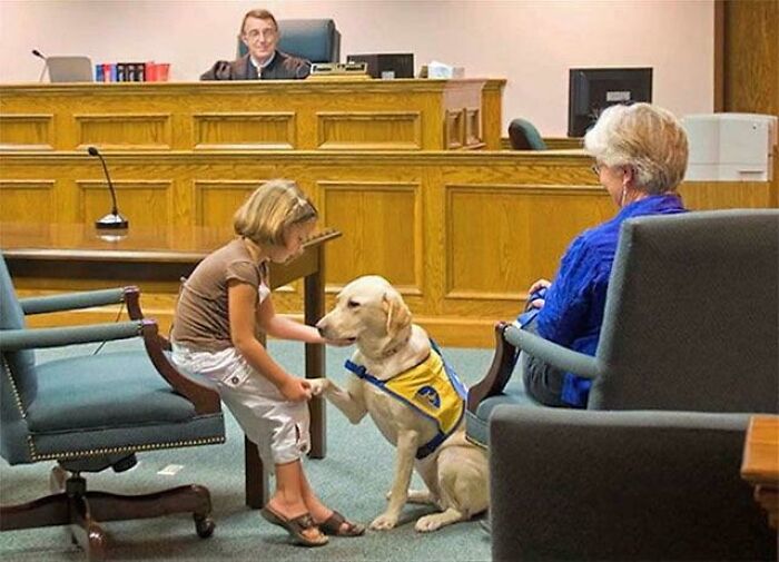 This Best Boye Helping Children Testify
