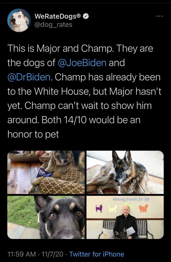 Congrats To The New First Dogs!