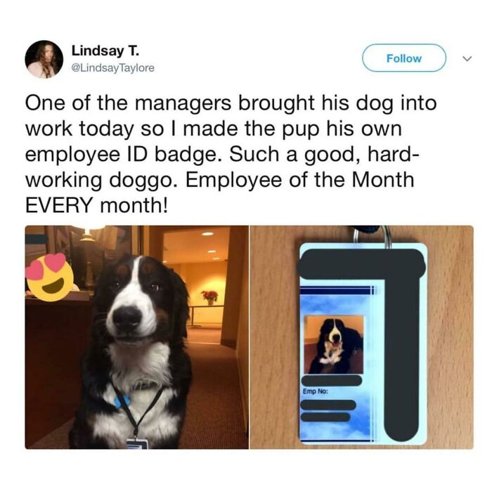 Doggo Of The Month
