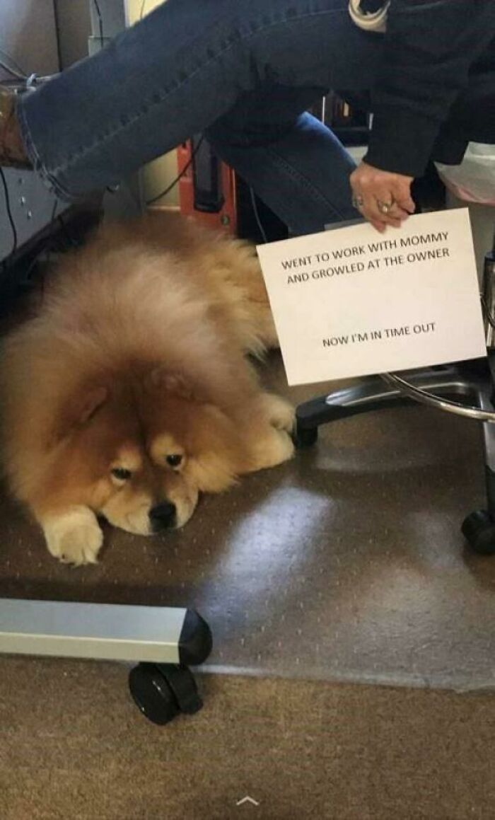 Vp Of Security Taking His Job Too Seriously