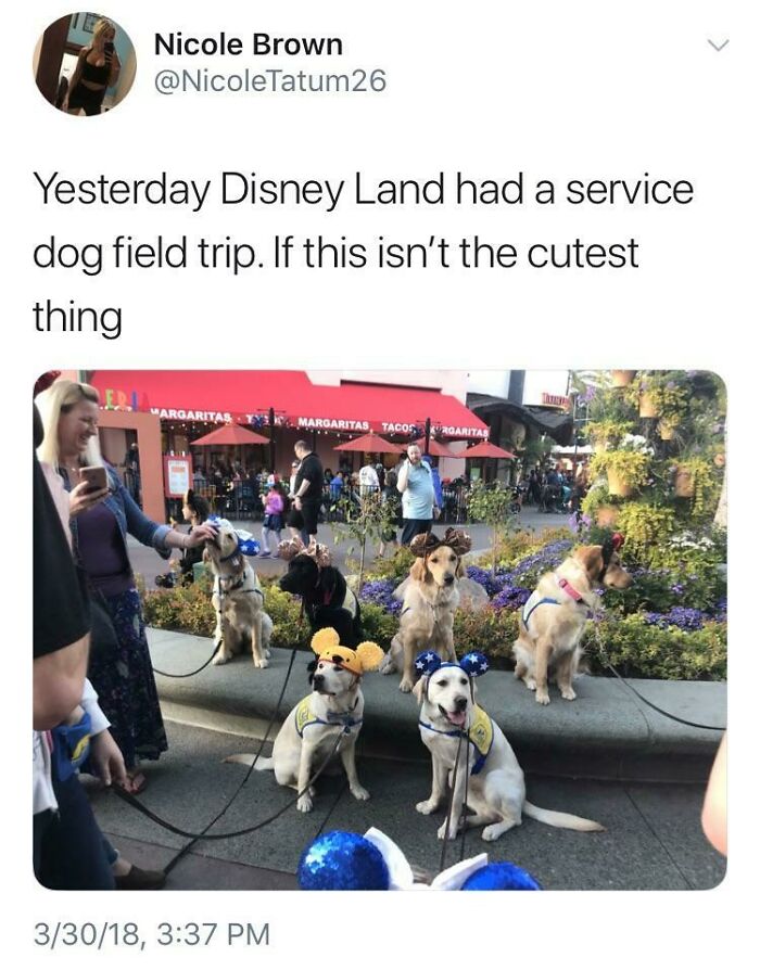 A Much-Deserved Day Off