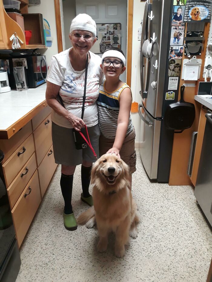 My Grandma's New Service Dog Sadie, Showing Off Her Best Good Girl Smile For The Camera