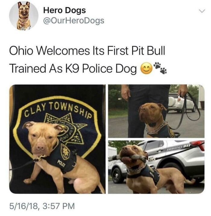 This Guy Looks So Happy!