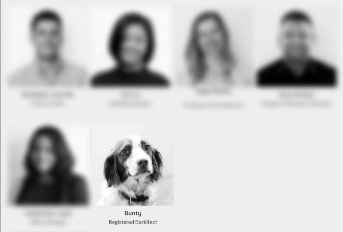 Found This On One Of My Architectural Consultant’s Website, On Their “People” Page