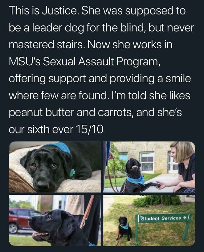 May Have Gotten Fired But She Found Work Again