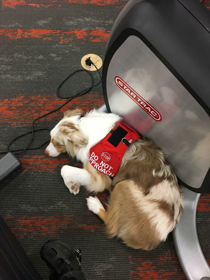 Cardiac Alert Girl Doin Her Job To Make Sure I Don’t Faint While Working Out