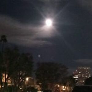 stargazerinphx avatar