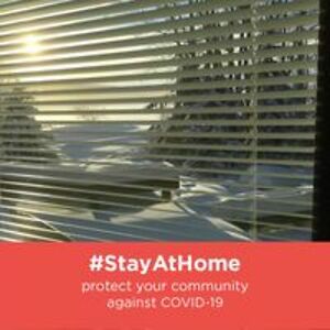 dianepattison43 avatar