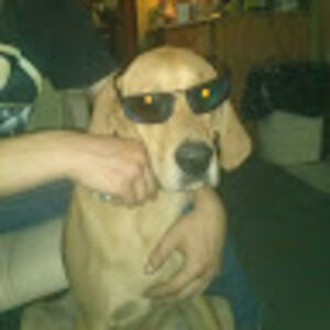 montanathompsons avatar