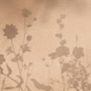 jasmineentonu avatar