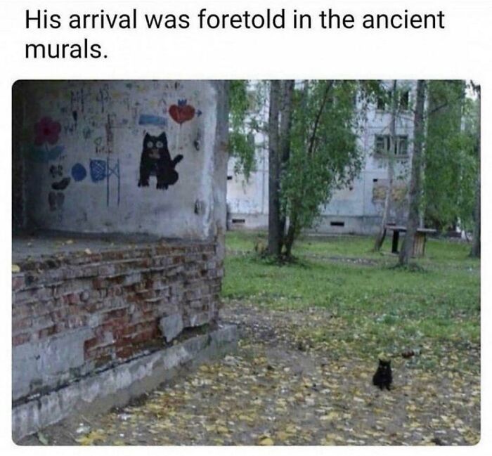 He’s Back Once Again