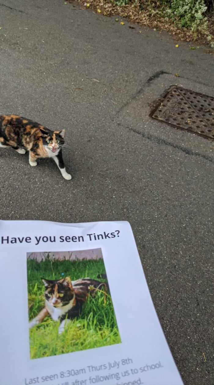 “You Saw Nothing..”