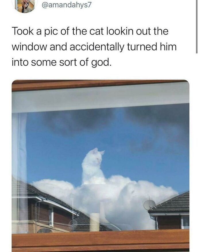 Not Far From The Truth