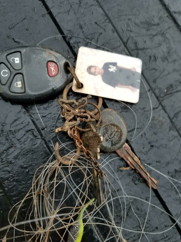 Found These The Other Day, Found The Owner Today