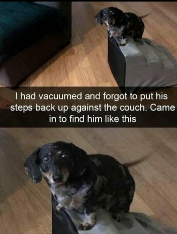 "I'm Not Super Mario"