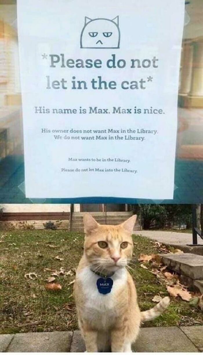 Found This On Twitter And Had To Share😭