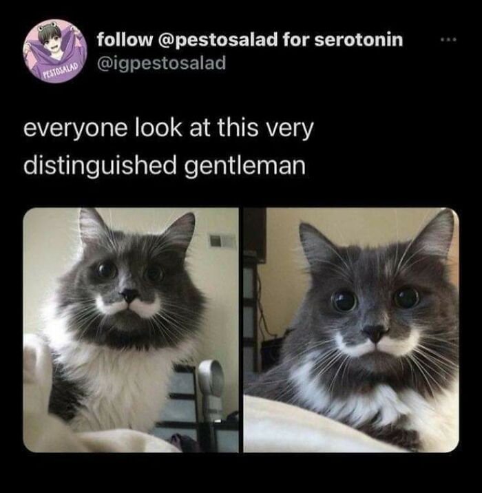 Bro Is About To Drop A Mathematics Theorem