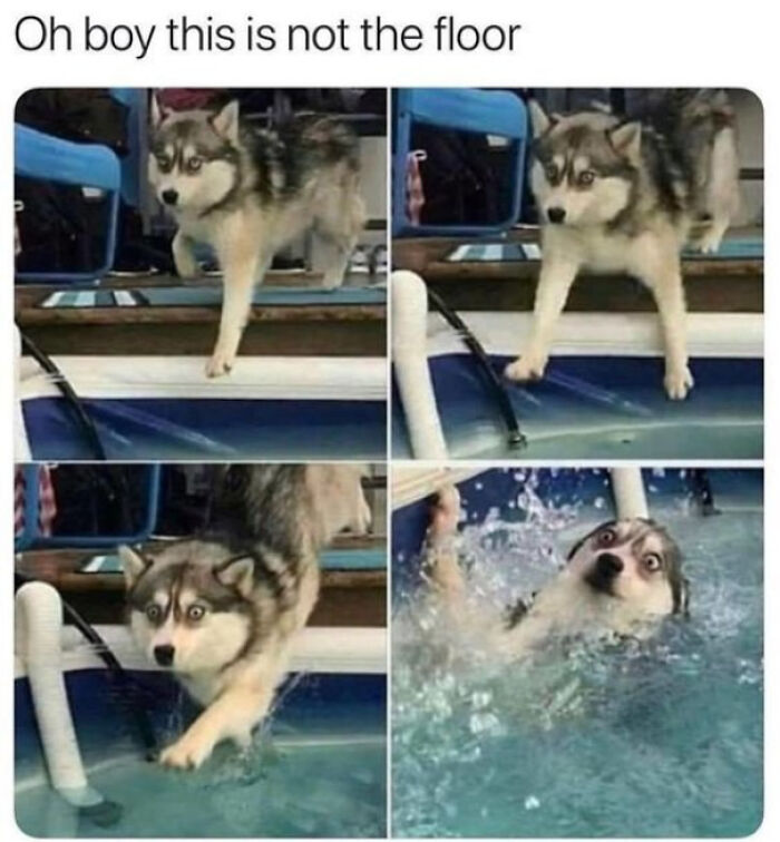 Are There Posts Worth 999 Views?